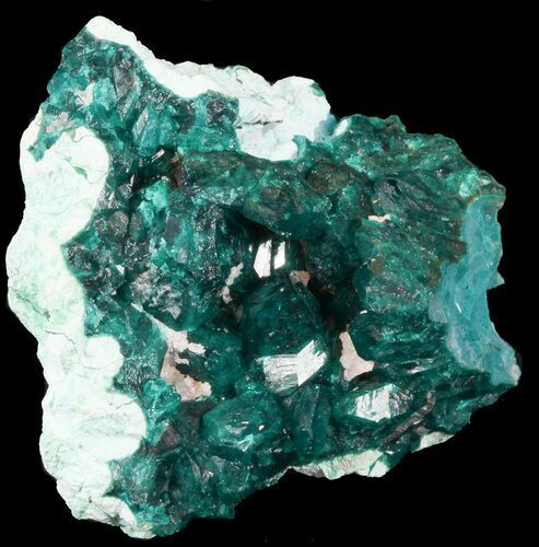 Emerald Green, Dioptase Cluster on Plancheite - Congo #45299